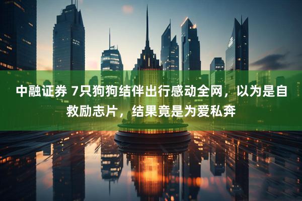 中融证券 7只狗狗结伴出行感动全网，以为是自救励志片，结果竟是为爱私奔