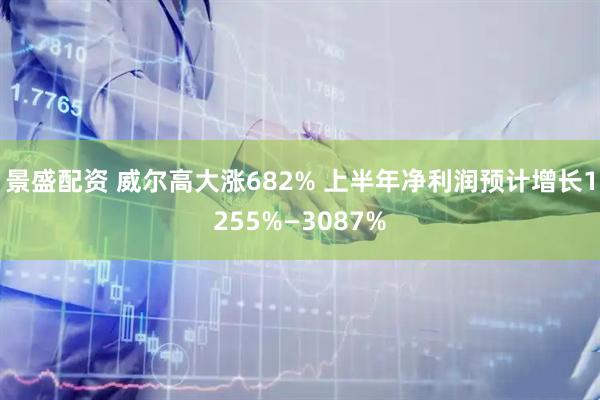 景盛配资 威尔高大涨682% 上半年净利润预计增长1255%—3087%
