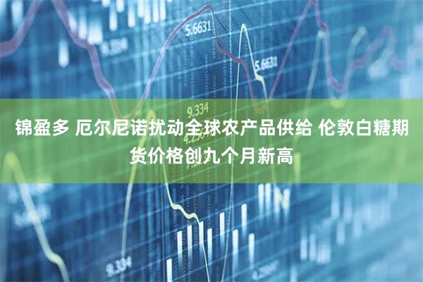 锦盈多 厄尔尼诺扰动全球农产品供给 伦敦白糖期货价格创九个月新高